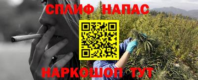 PSILOCYBIN Будённовск